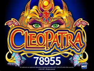 VIP Casino 78955